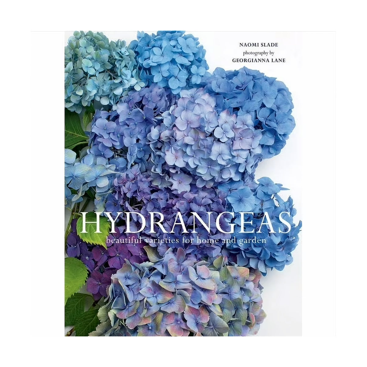 Hydrangeas Book