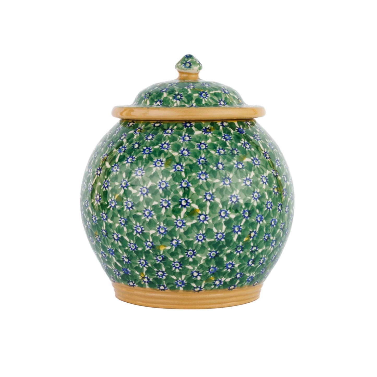 Nicholas Mosse Lawn Green Cookie Jar