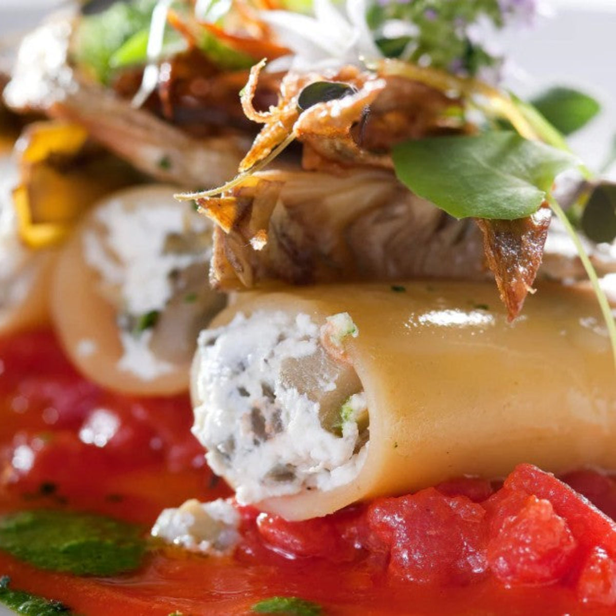 Paccheri in D&G Packaging By Pastificio Di Martino