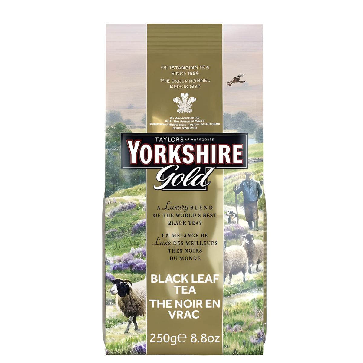 Taylors of Harrogate Yorkshire Gold Loose Tea - 8.8oz