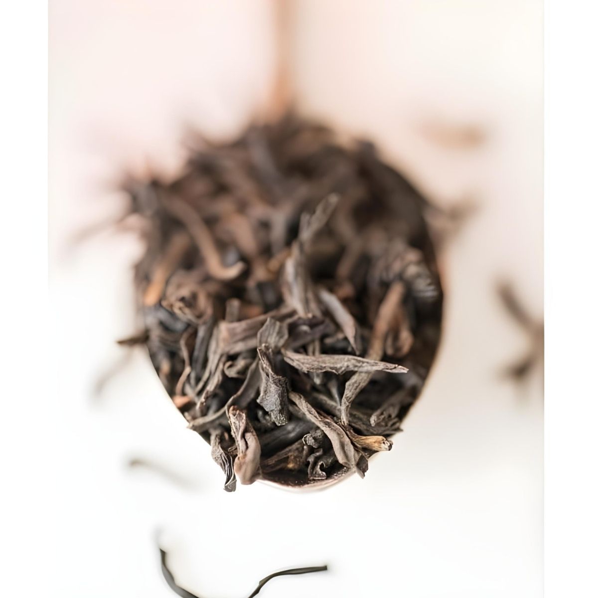 Monista Tea Co. Amsterdam Breakfast Tea Refill Box - Loose Tea