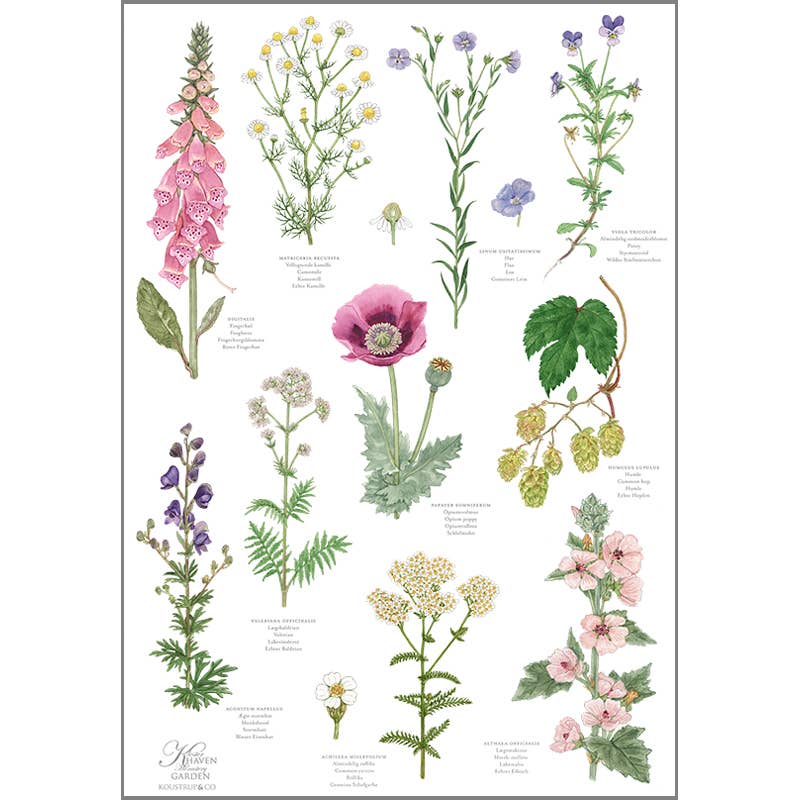 Koustrup & Co. - Monastary Garden 100% Organic Cotton Tea Towel
