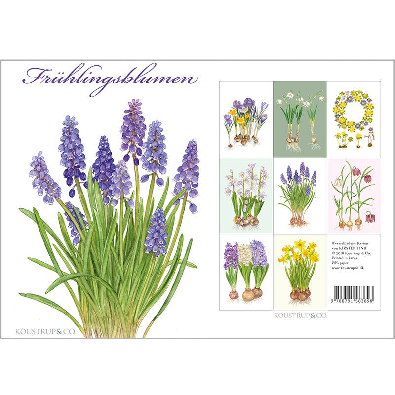 Koustrup & Co. - Cardfolder Frühlingsblumen - 8 Cards with Envelopes (German)