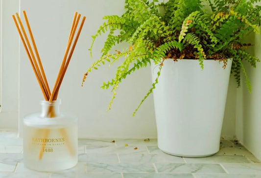 A Guide to Luxury Reed Diffusers at Home