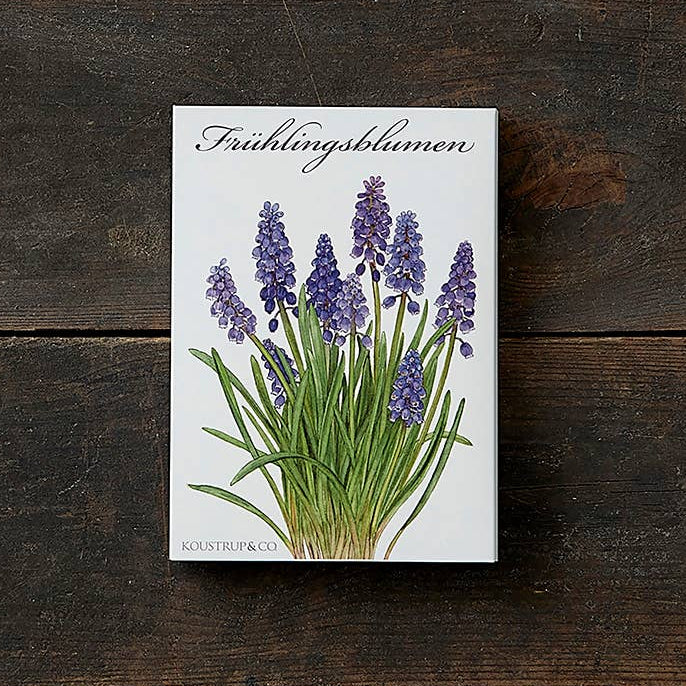 Koustrup & Co. - Cardfolder Frühlingsblumen - 8 Cards with Envelopes (German)