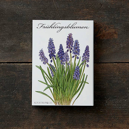 Koustrup & Co. - Cardfolder Frühlingsblumen - 8 Cards with Envelopes (German)