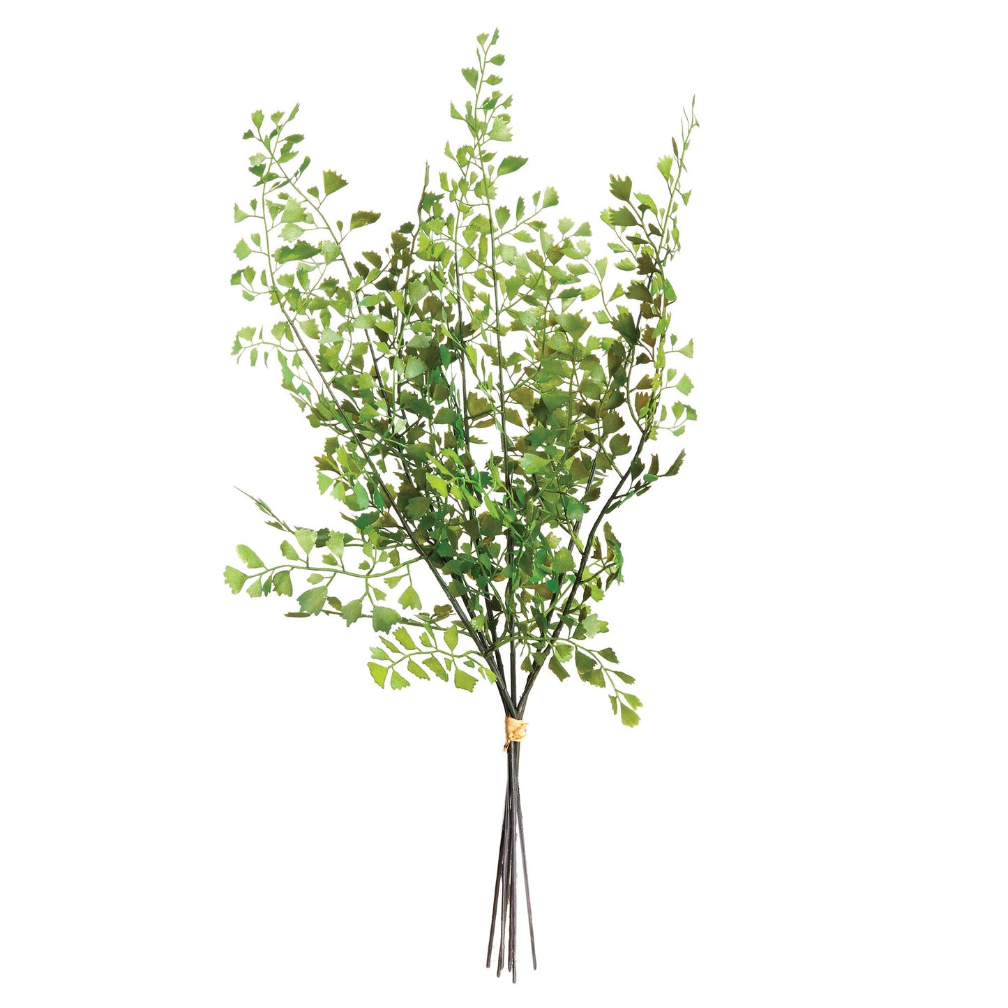 Napa Home & Garden - Maidenhair Fern Stems, Bundle Of 7