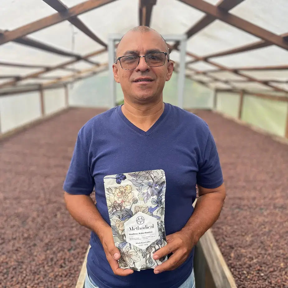 Methodical Coffee & Tea - Honduras, Walter Bautista