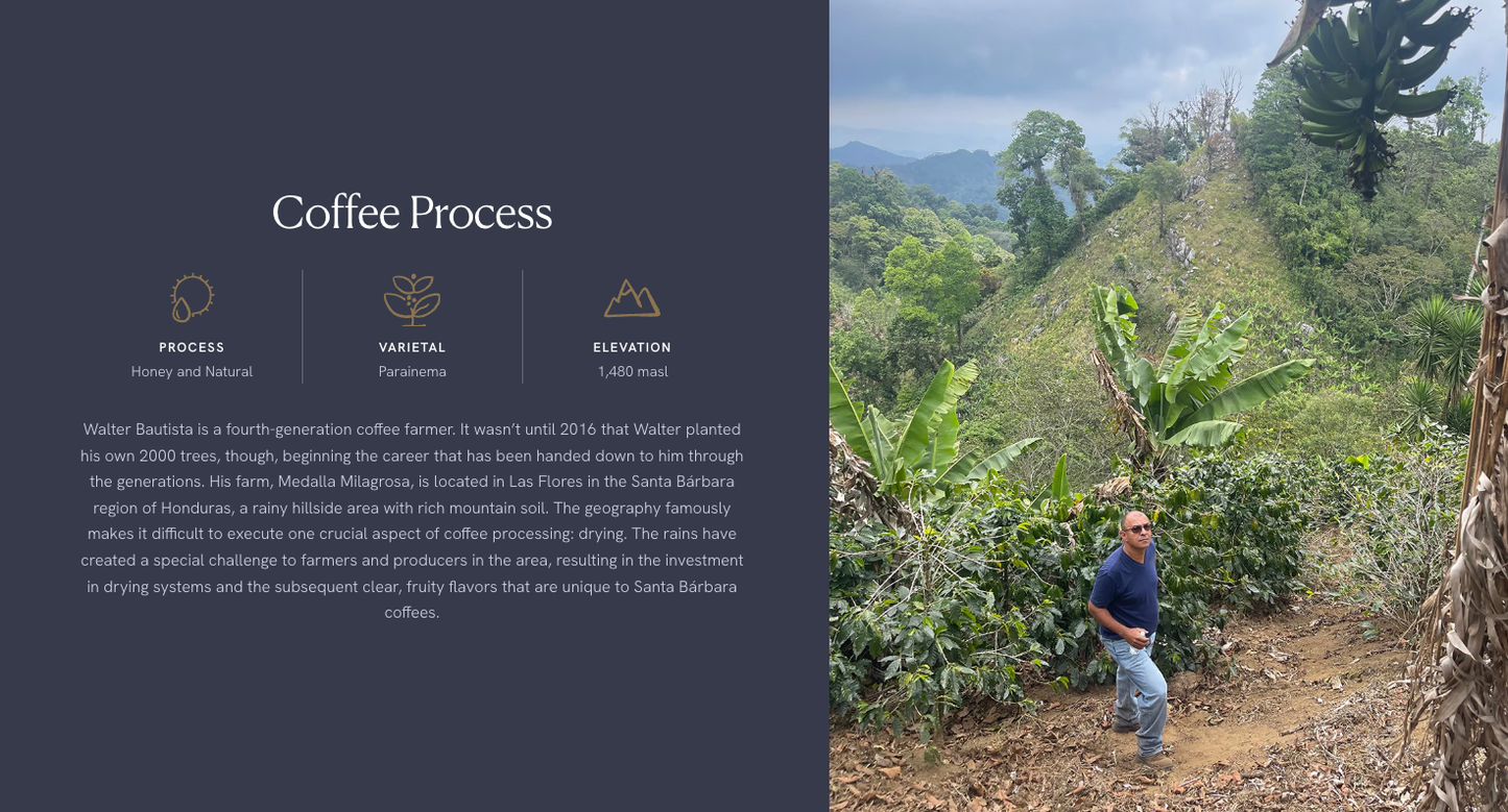 Methodical Coffee & Tea - Honduras, Walter Bautista