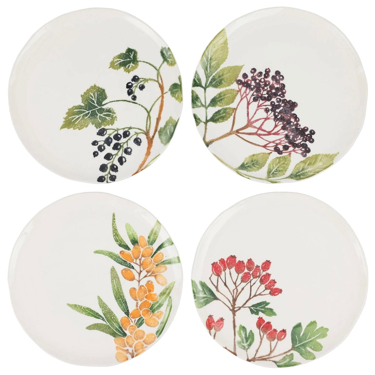 Foresta Primavera Assorted Salad Plates - Set of 4