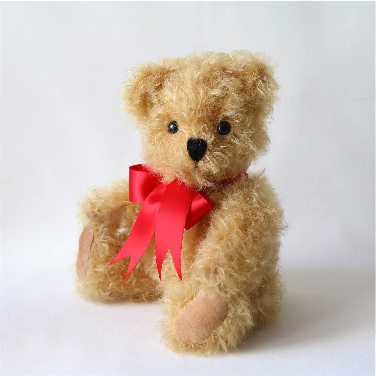 Canterbury Bear -Gregory Junior