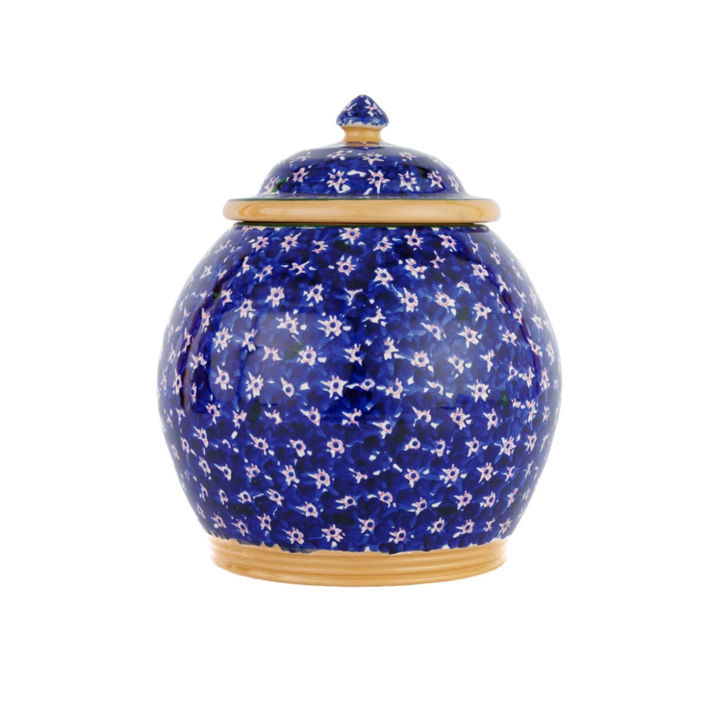 Lawn Dark Blue Cookie Jar