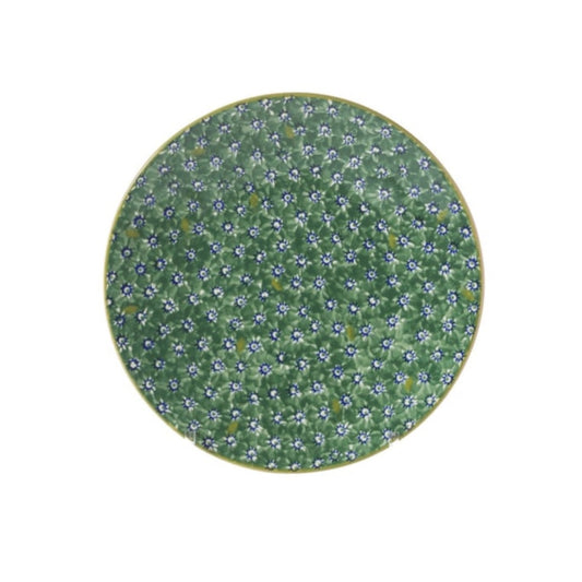 Lawn Green Everyday Plate