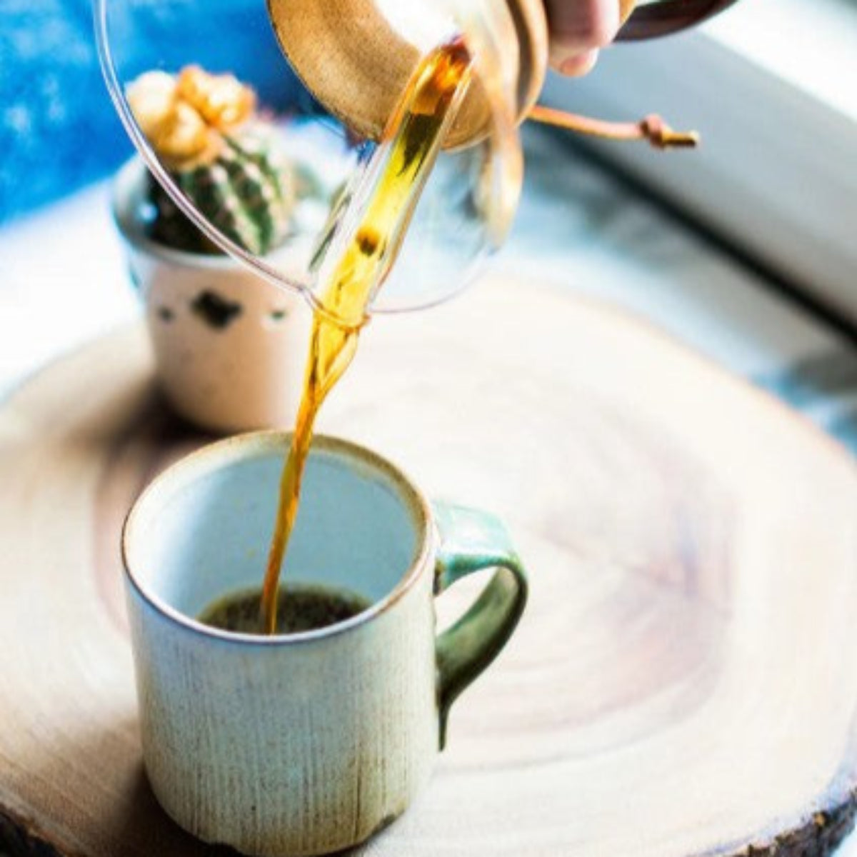 Methodical Coffee Play Nice 12oz