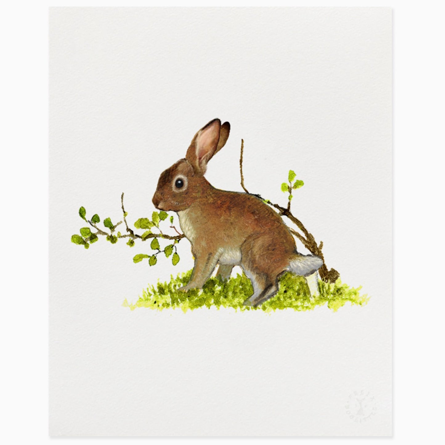 Felix Doolittle Patrick Junior Bunny 8x10 Print