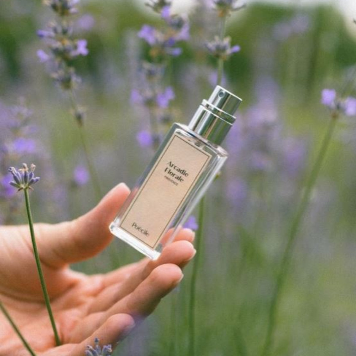 Poecile Arcadie Florale - Provence Eau de Perfume 15ml