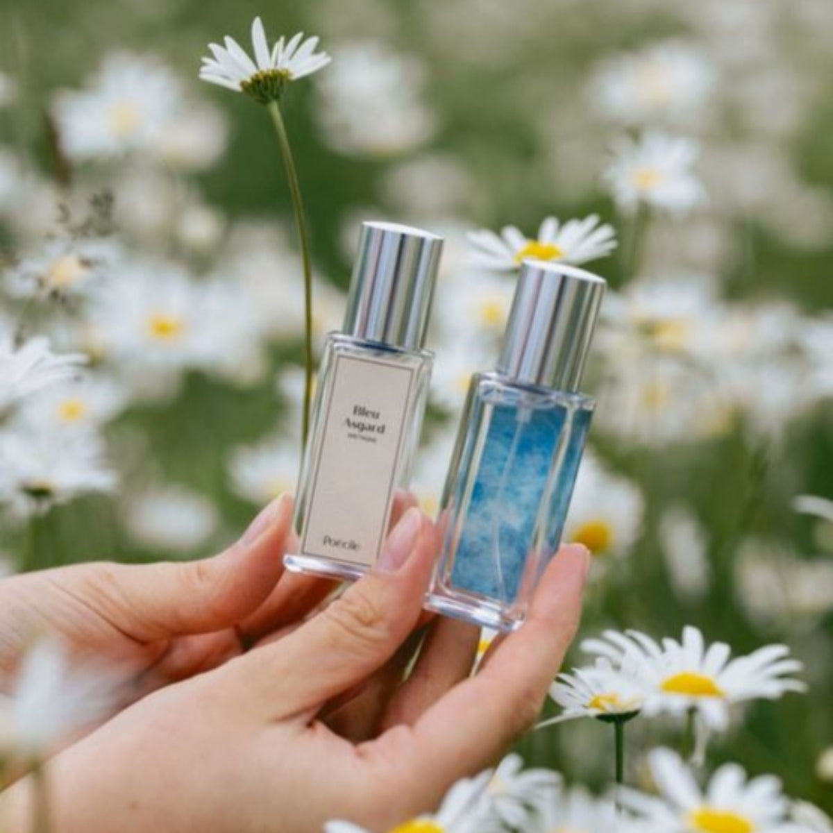 Poecile Asgard Blue Eau de Perfume, Brittany 15ml