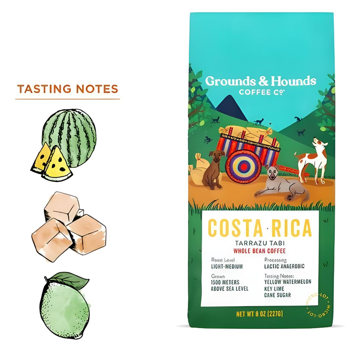 Grounds & Hounds Microlot Costa Rica Montaña Dulce - Whole Bean