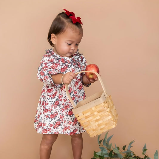 Viverano Organic Amour Rose Floral Ruffle Baby Dress & Bloomer