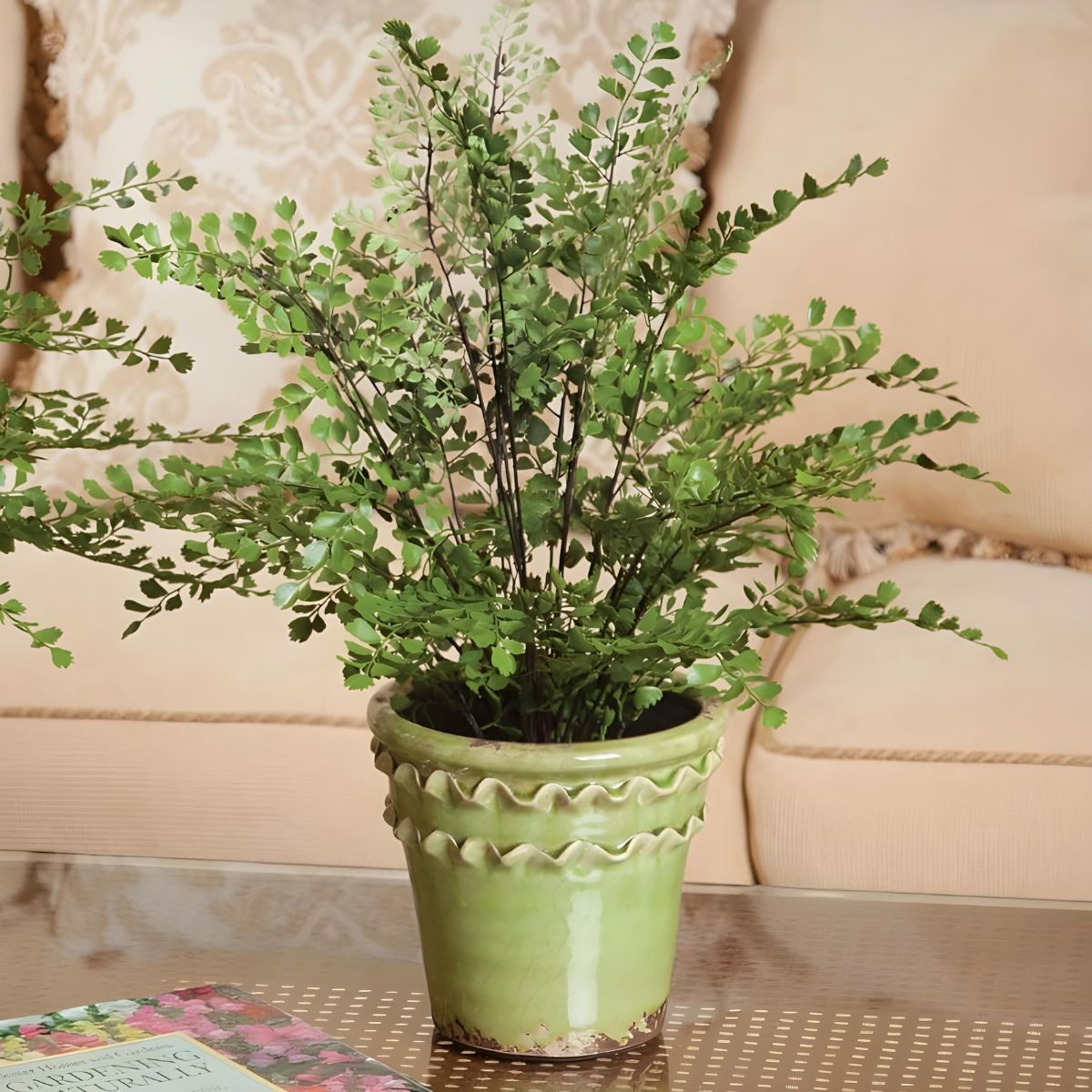 Napa Home & Garden Maidenhair Drop-In 18"