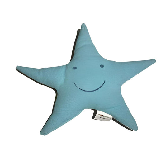 David Fussenegger Star Pillow