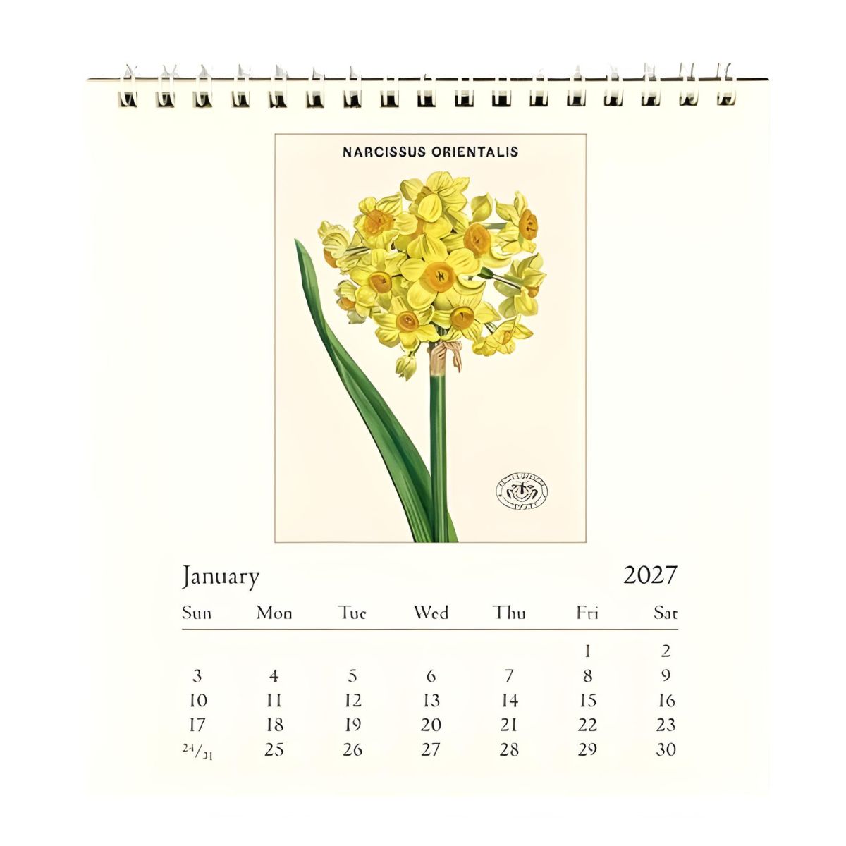 Cavallini Botanica 2027 Desk Calendar
