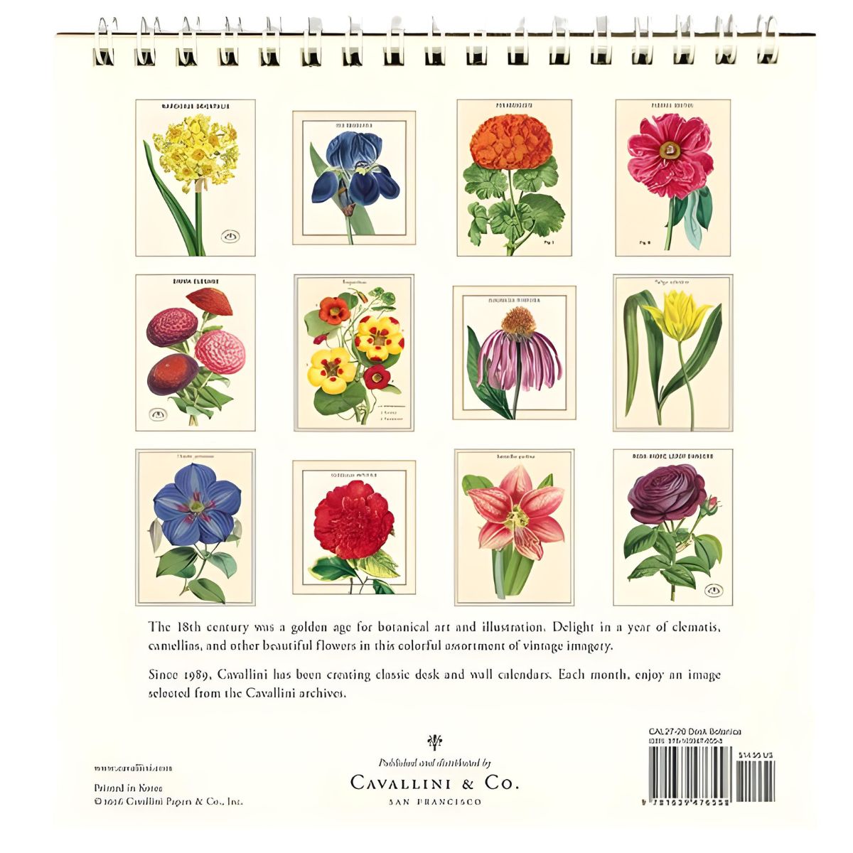 Cavallini Botanica 2027 Desk Calendar