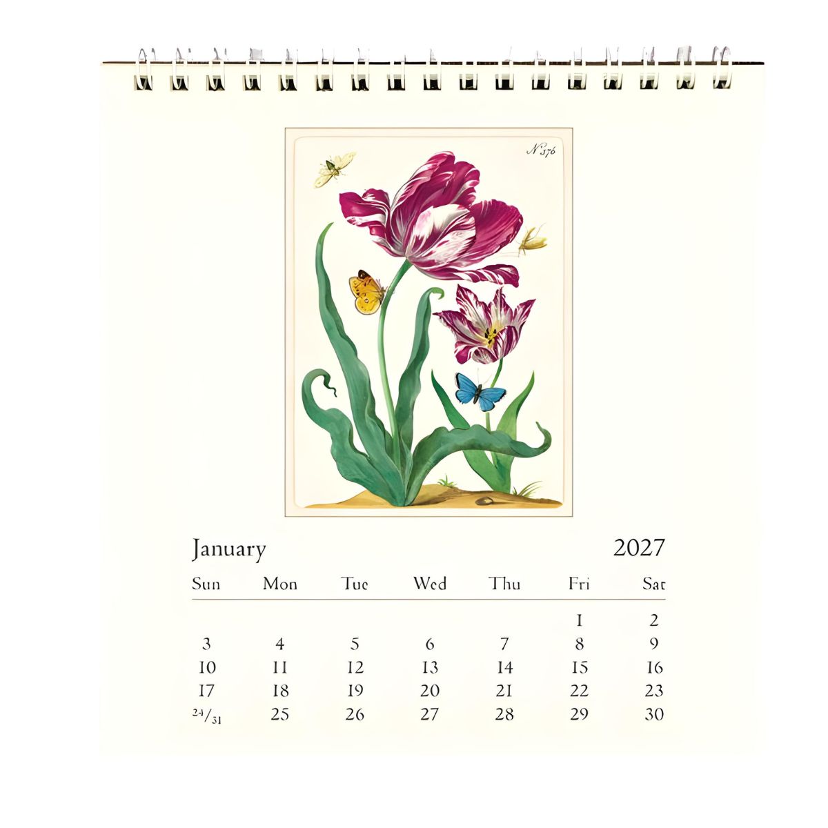 Cavallini Flora & Fauna 2027 Desk Calendar