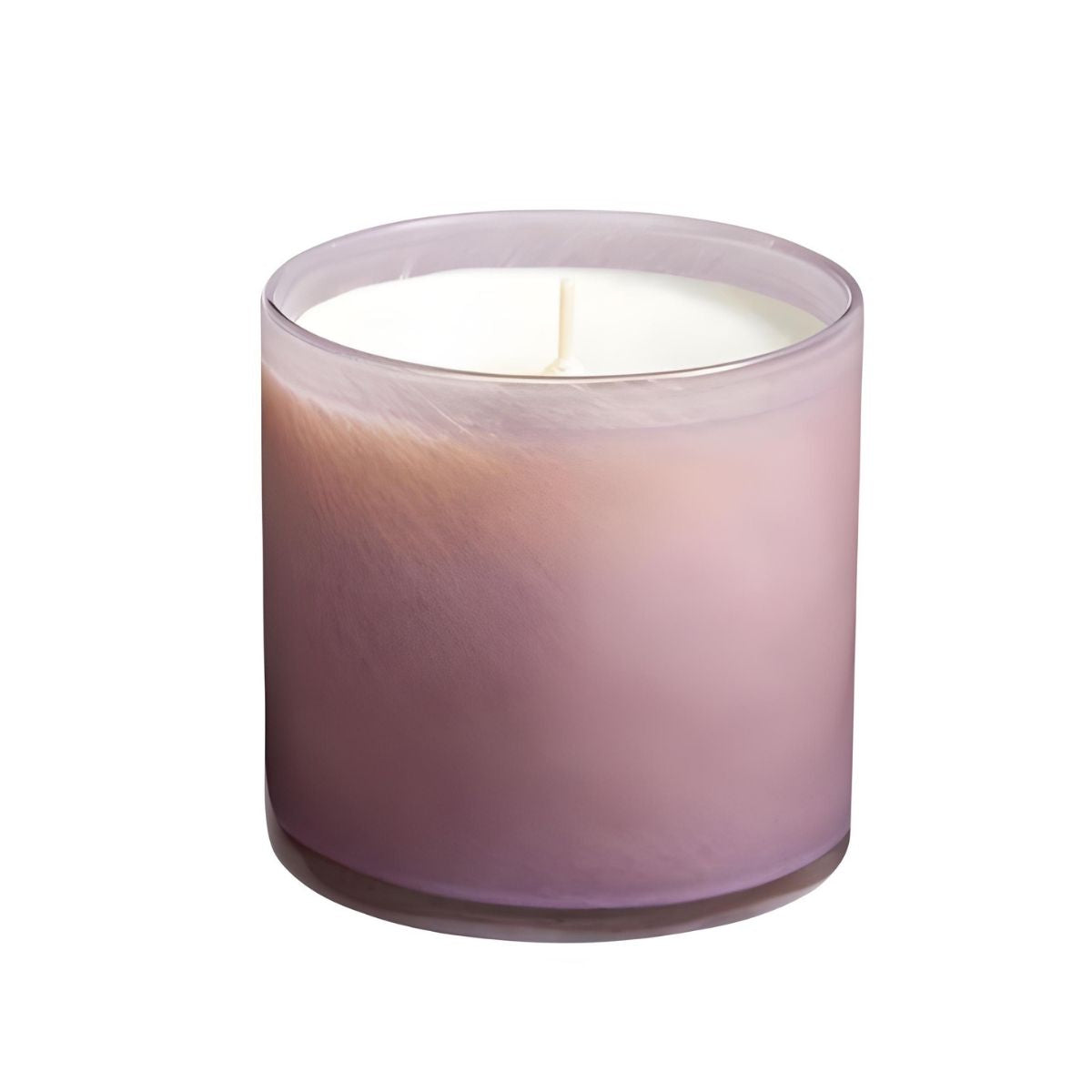 LAFCO Midnight Cactus Signature Candle 15.5oz