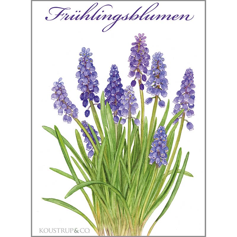 Koustrup & Co. - Cardfolder Frühlingsblumen - 8 Cards with Envelopes (German)