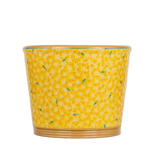 Nicholas Mosse Lawn Yellow Large Cache Pot Indoor