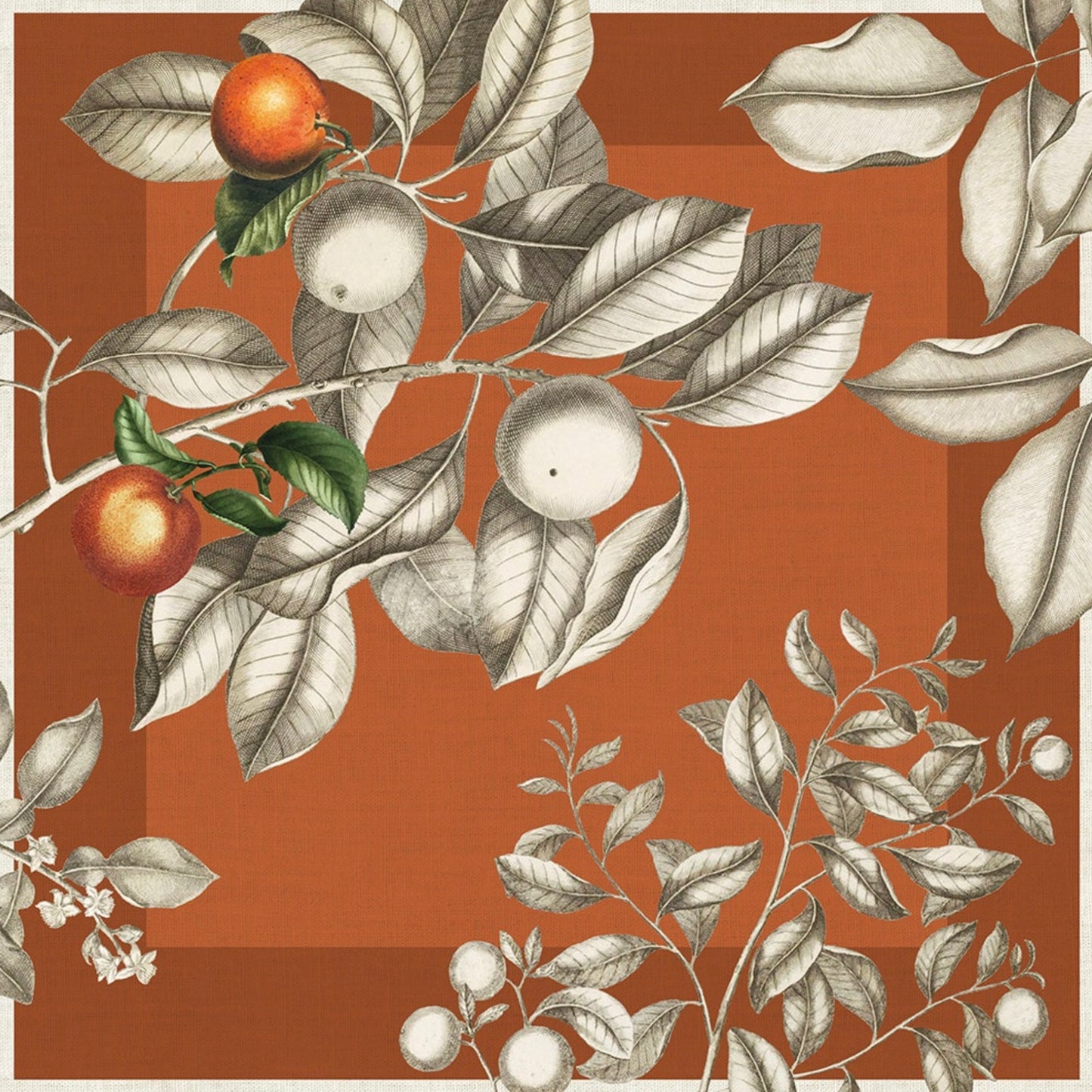 Mandarines Rouille Napkin Set/4