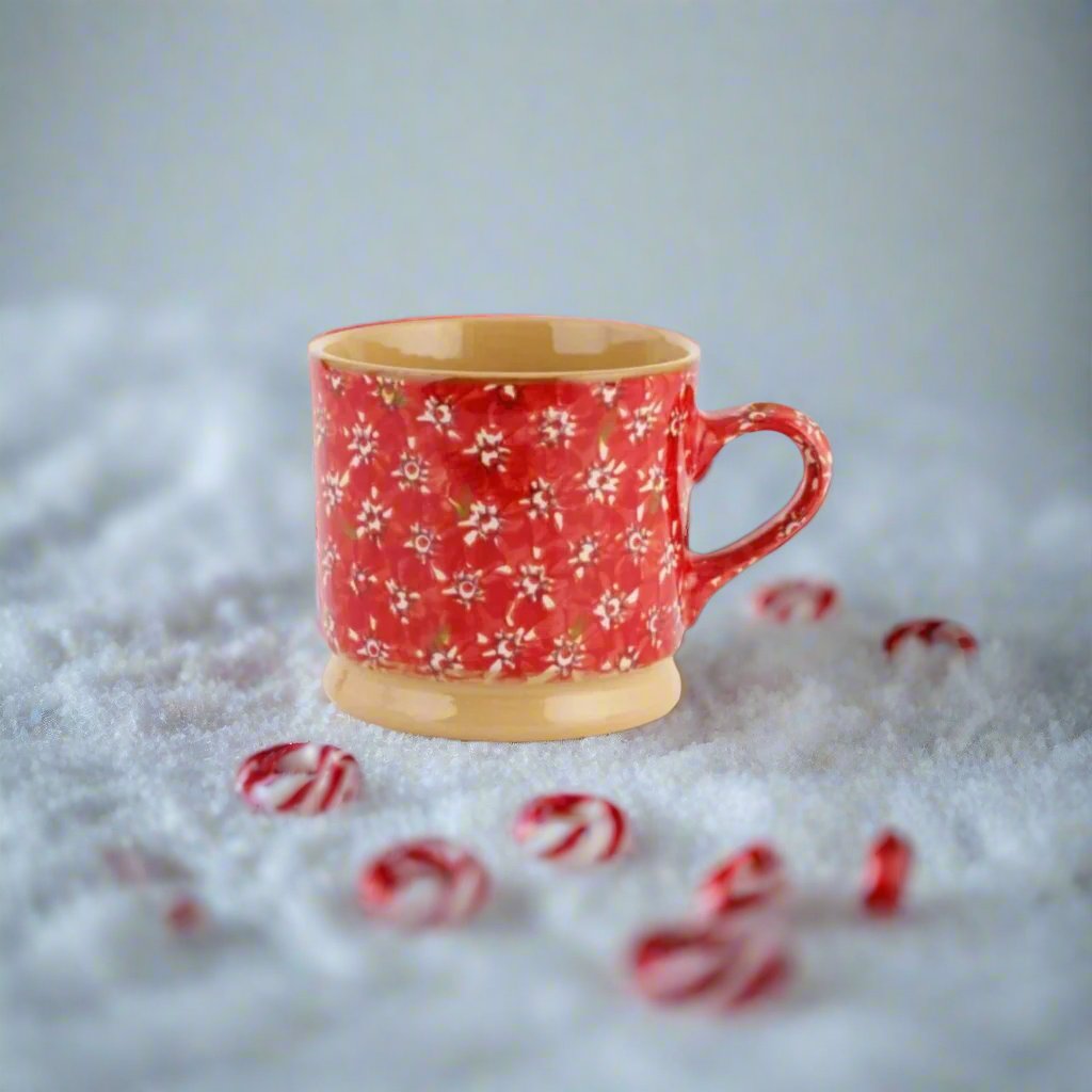 Nicholas Mosse Lawn Red Large Mug