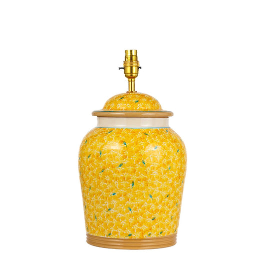 Nicholas Mosse Lawn Yellow Tall Lamp